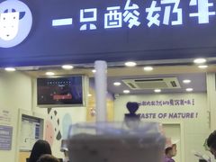 -一只酸奶牛(八一路店)
