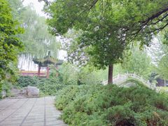 -菖蒲河公园