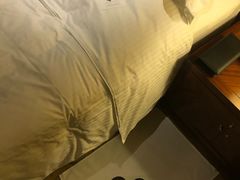 -上海红塔豪华精选酒店