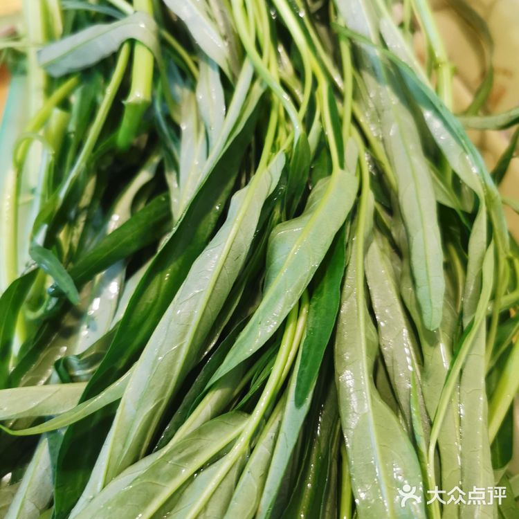 秋季养生秋菜👉炭火砂锅羊肉火锅❤️