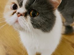 -平行世界·猫咖(首经贸店)