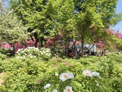 -洛阳市隋唐城遗址植物园