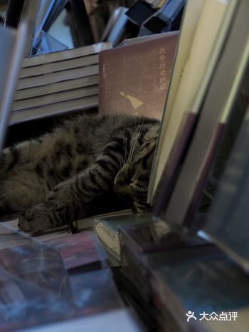 <两代摄影师一座北京城>