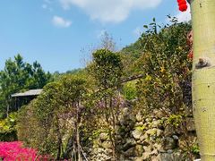 -广东天露山旅游度假区