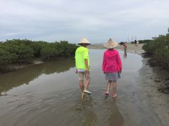 -北海金海湾红树林生态旅游区