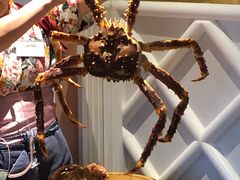 -蟹的岡田屋(正大广场店)