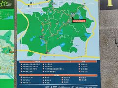 -火炉山森林公园