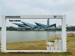 -盐城丹顶鹤湿地生态旅游区