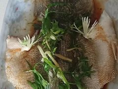 -悦芽照护月嫂+育儿嫂(杭州店)