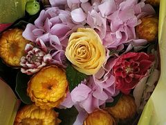 -双季花艺园艺市场(浦东店)