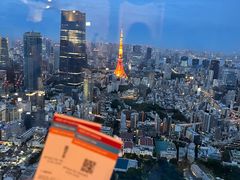 -六本木新城展望台(东京城市景观)