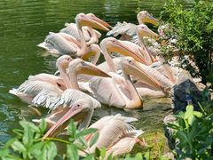 -云南野生动物园