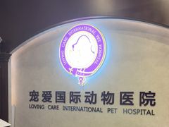 -宠爱国际动物医院·疑难骨科·心肾内科·皮肤科(太阳宫店)