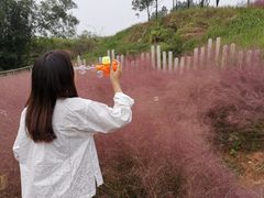 -黄龙溪欢乐田园