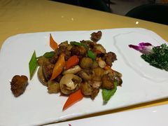 -素虎小呆鸟(西二旗店)