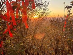 -帽儿山国家森林公园