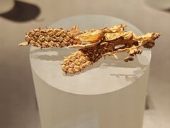 -大同市博物馆