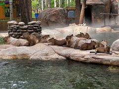 -北京野生动物园