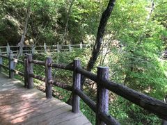 -塔云山