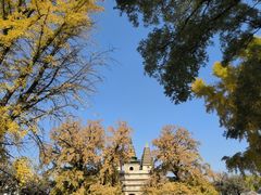 -北京石刻艺术博物馆(五塔寺)