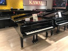 -柏斯音乐艺术中心·钢琴·吉他(世纪金源店)