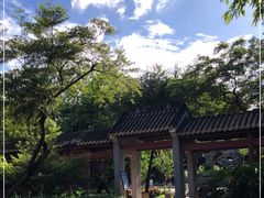-顺峰山公园