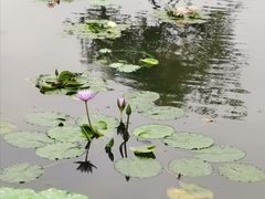 -陈李济中药博物馆