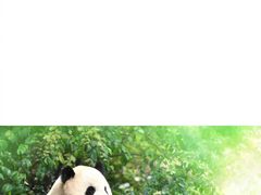 -杨震卤菜旗舰店