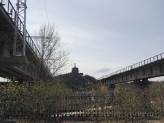 -永定河休闲森林公园