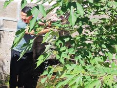 -晋祠博物馆