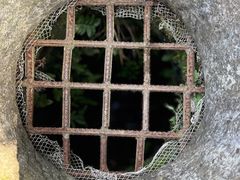 -上海佘山国家森林公园天马山园