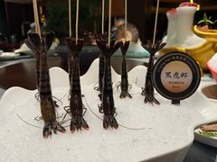 -尚海豆捞(乐虹坊店)