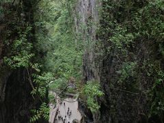 -鹿院坪生态旅游景区