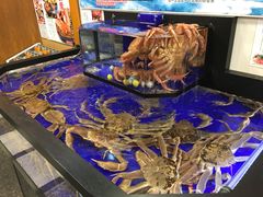 -蟹道乐(道顿堀本店)
