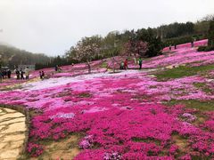 -棒棰岛宾馆景区