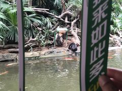 -蛙小侠(柳州万象城店)