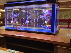 -大江户·温泉洗浴(浑南店)