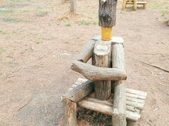 -黄海国家森林公园