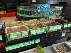-鹏城人家海鲜酒家·23年老字号(较场尾店)