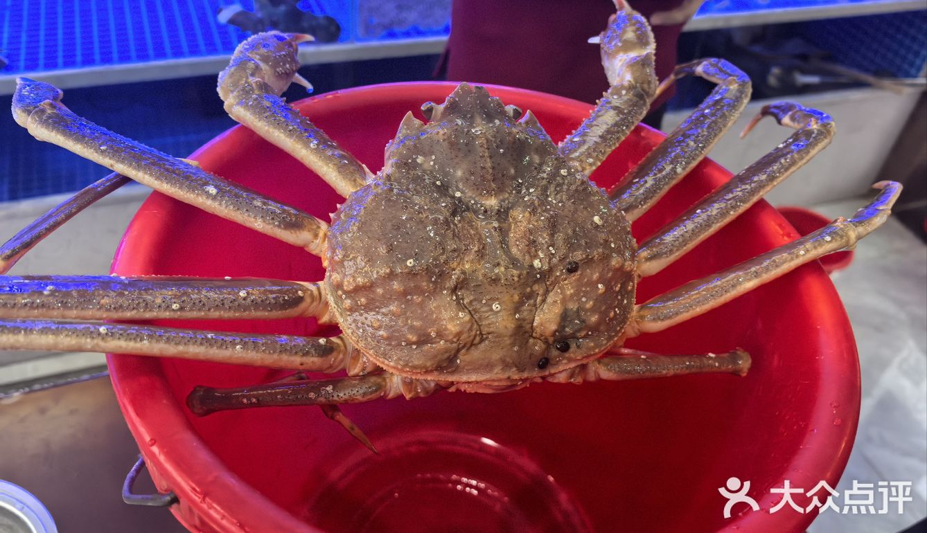 今天我是海鲜控！