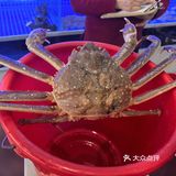 今天我是海鲜控！