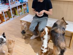 -Double Rui宠物酒店
