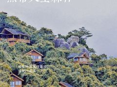 -亚龙湾热带天堂森林公园