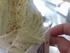 -野人先生现做冰淇淋(北京王府井东方新天地店)