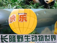 -广州长隆野生动物世界