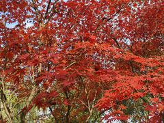 -梁鸿国家湿地公园