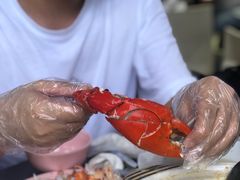 -龙海鲜螃蟹王(宏茂桥店)