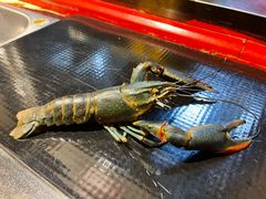 -Bigger龙虾(锦屏家园店)