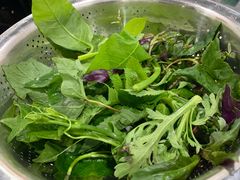 -黔府豆米火锅野菜馆(南马店)