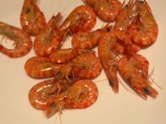 -百富源·海鲜辽菜(浑河堡店)